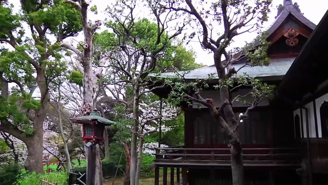 Irezumi: The Japanese Art of Tattooing ( English version )