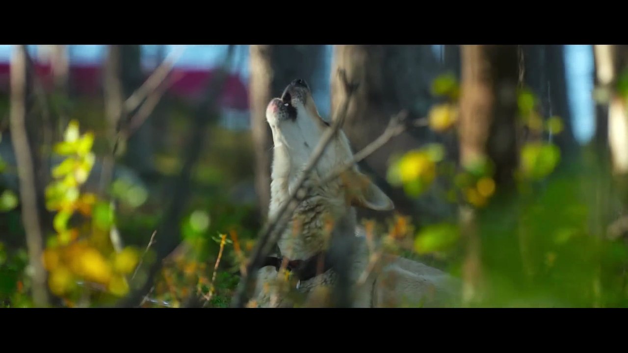 Folktales Trailer