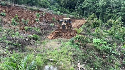 Old Plantation Road Repairs Bulldozer D6R XL Works Well