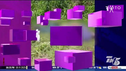 Dos muertos y varios heridos deja enfrentamiento armado en Puerto Cortés