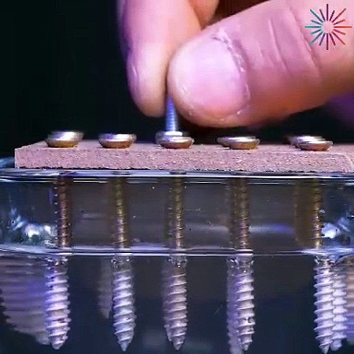 Oddly satisfying tool tips for everyone!