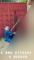 A dog attacks a beggar