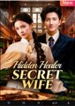 Hidden Healer Secret Wife Chinese Drama - English Sub