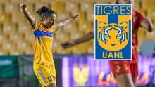Tigres femenil se impone al convertirse en semifinales; las amazonas se medirán contra Cruz Azul
