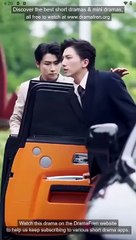 Hidden Healer Secret Wife