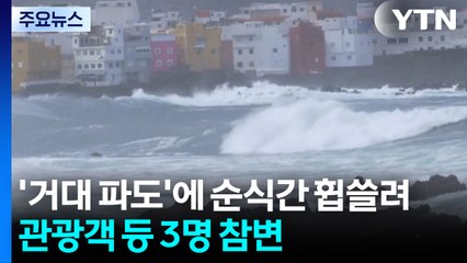 '거대 파도'에 순식간 휩쓸려...관광객 등 3명 참변 / YTN