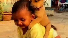 Baby and Dog ! #shorts #youtubeshorts #baby #dog #babyanddog #dogandbaby #smile
