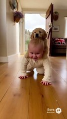 Baby and Dog ! #shorts #youtubeshorts #baby #dog #babyanddog #dogandbaby #smile