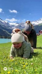 Baby and Dog ! #shorts #youtubeshorts #baby #dog #babyanddog #dogandbaby #smile