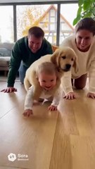 Baby and Dog ! #shorts #youtubeshorts #baby #dog #babyanddog #dogandbaby #smile