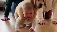 Baby and Dog ! #shorts #youtubeshorts #baby #dog #babyanddog #dogandbaby #smile