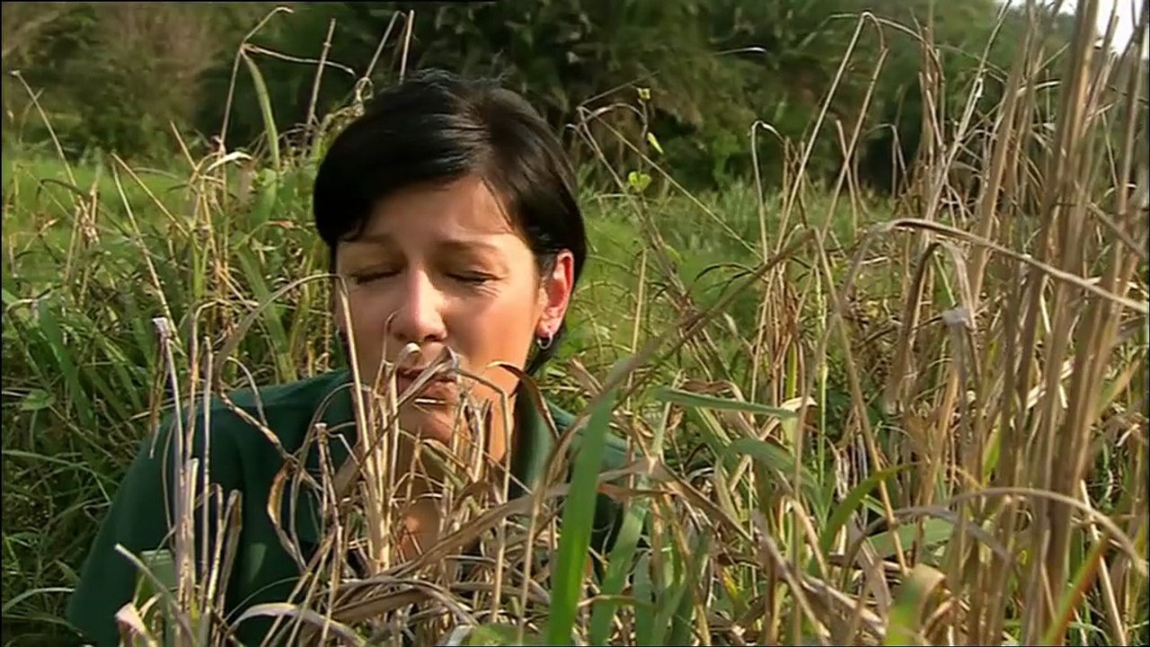 parque prehistorico salvando a los dientes de sable Episodio4 español latino