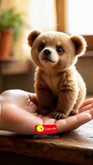 Sweetest Teddy Bear to Hug Forever 🐻 #shorts #short #shortvideo #viral #viralvideo #shortsfeed