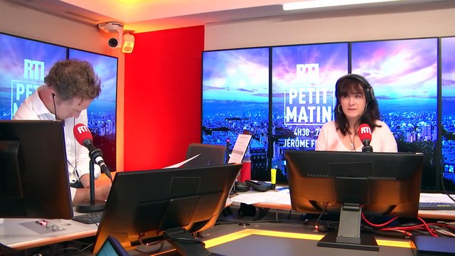 Bulbes, rosiers, arbres et arbuste, c'est le moment pour planter au jardin et sur le balcon !