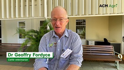 How you can save a pallet of blackfish with your bull buying decisions