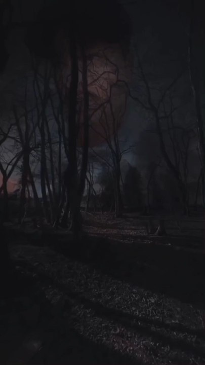 Before the dusk, before the authorities, before the dark evening, they call your name before everyone's name