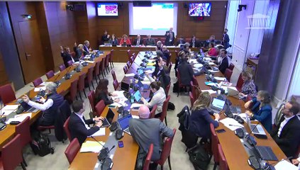 Commission des finances : Crédits des missions Travail, emploi et administration des ministères sociaux ; Recherche et enseignement supérieur (PLF 2026) - Dimanche 9 novembre 2025