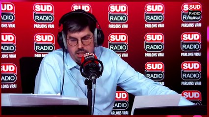 "C'est une catastrophe" : un foyer de nématodes du pin détecté dans les Landes