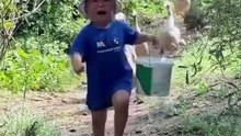 Animals is Funny