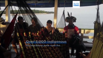 COP30: What to expect from this year's UN climate talks