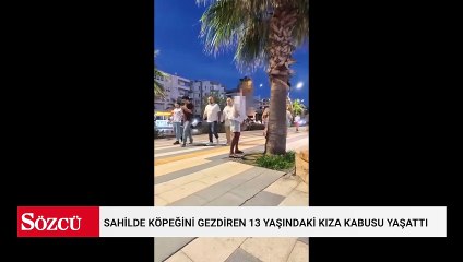 Yer: Antalya... Sahilde köpeğini gezdiren 13 yaşındaki kıza kabusu yaşattı