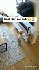 He is more worried about the ps5 😂 Follow for more 🐶❤️ #dog #baby