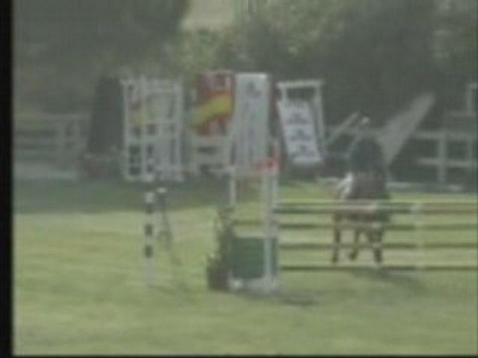 horse for sale 2001 uluxion