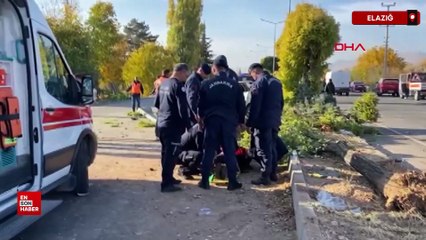 Elazığ’da otomobil ağaca ve elektrik direğine çarptı