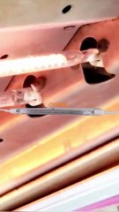 1000w 1500w 550mm halogen heating bulb 1000w 2000w 354mm half white reflector heat tube