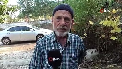 Türkiye'de bir dev şans eseri bulundu: Gören gözlerine inanamadı