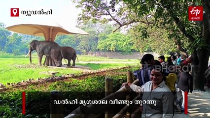 ഇവിടെ മൃഗങ്ങള്‍ക്ക് വാള്‍നട്ടും നിലക്കടലയും; ഡൽഹി മൃഗശാലയിലെ മെനുവും ശീലങ്ങളും മാറി, മാറ്റം ശൈത്യകാല പ്രതിരോധത്തിന്