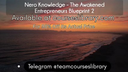 (HAVE) Nero Knowledge - The Awakened Entrepreneurs Blueprint 2
