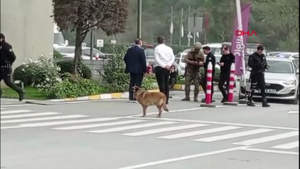 BeIN Sports binasına silahlı saldırı! Şüpheli, ünlü yorumcuya hakaret etti