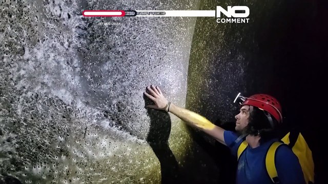 World's biggest spiderweb home to more than 110,000 spiders discovered on the Albanian-Greek border