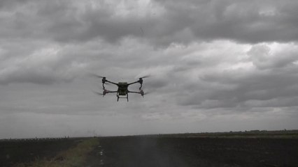 China-Africa agricultural cooperation boosts modern farming in Mozambique