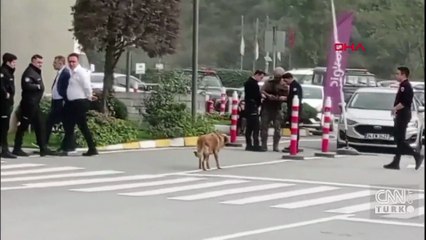 SON DAKİKA HABERLERİ | beIN Sports binasına silahlı baskın!