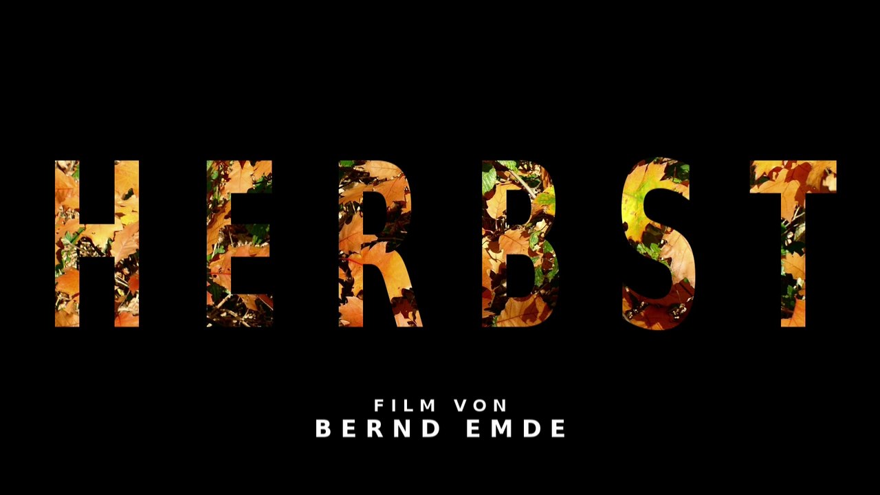 Herbst an der Wengerner Mühle