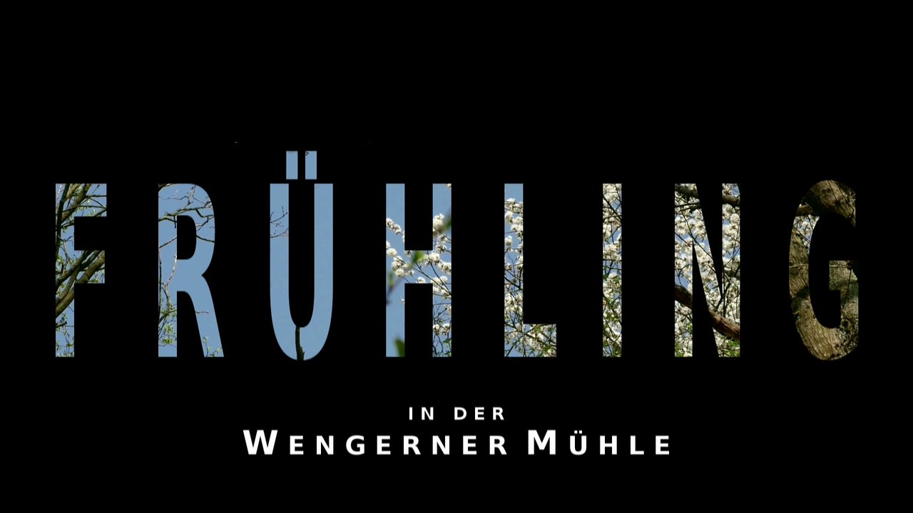 Frühling an der Wengerner Mühle