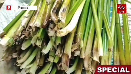 আপদ নহয় সম্পদ: পানীমেটেকাও হ'ব পাৰে অৰ্থনীতিৰ সমল