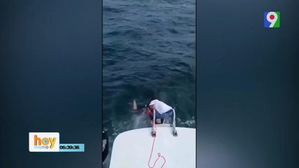 ¡Alerta! Se hunde catamarán con turistas en la bahía de Samaná | Hoy Mismo