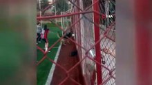 Köpek Topu Kaçırdı Maç Yarım Kaldı!