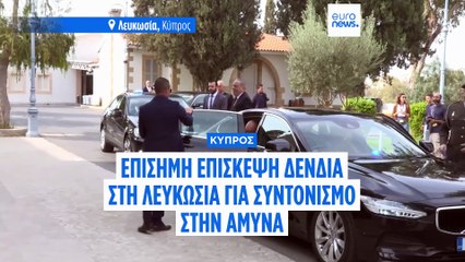 Δένδιας στην Κύπρο: Όποιος απειλεί την Ευρώπη δεν μπορεί να συμμετέχει στον μηχανισμό Safe