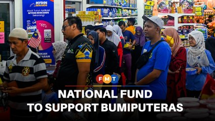 Economist proposes national endowment fund to assist Bumiputeras
