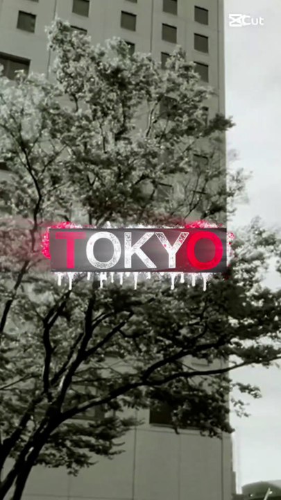 TOKYO JAPAN