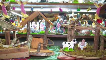 tn7-autoridades-advierten-por-multas-en-lana-silvestre-101125