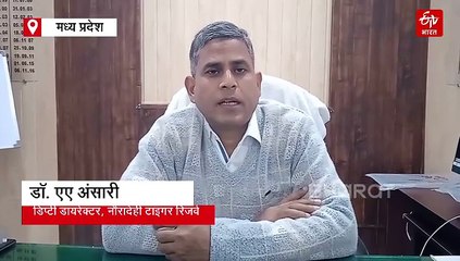 नौरादेही टाइगर रिजर्व के एक एक टाइगर गिने जाएंगे, पहली बार 600 कैमरे लगाए गए