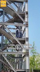 Forbidden Yet Forever Mine Full Movie HD I Best CDrama ShortFilms Hot CEO Billionaire Romance 2025