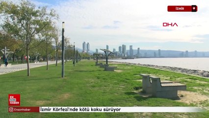 İzmir Körfezi'nde kötü koku sürüyor; denizin rengi kahverengiye döndü