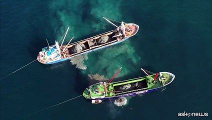 Transport & Environment, soluzioni per favorire transizione green