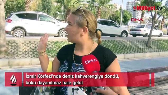 Deniz kahverengiye döndü, koku dayanılmaz hale geldi